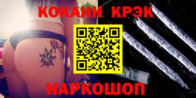 прущие грибы Новозыбков