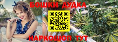 прущие грибы Новозыбков