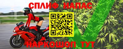 прущие грибы Новозыбков