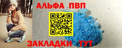 прущие грибы Новозыбков
