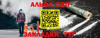 прущие грибы Новозыбков