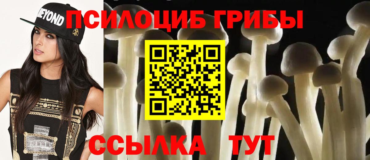 Галлюциногенные грибы Psilocybine cubensis  Галлюциногенные грибы мицелий  Спасск-Дальний  цены   Вход с VPN 